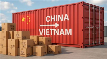 NHẬP HÀNG TRUNG QUỐC: BIẾN THÁCH THỨC THÀNH  CƠ HỘI BỨT PHÁ CÙNG STCOSE